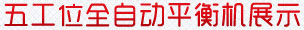 五工位全自動平衡機展示