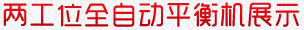 兩工位全自動平衡機展示